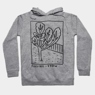 Peach Tree Hoodie